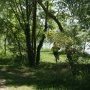 Qui joue à cache-cache ?